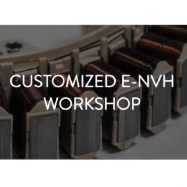 Customized e-NVH Workshop
